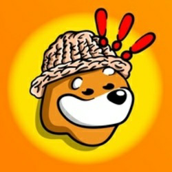 Bonkwifhat