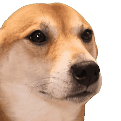 Bopdog