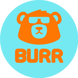 Burr Governance Token