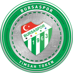 Bursaspor Fan Token