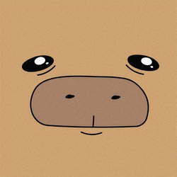 CAPY