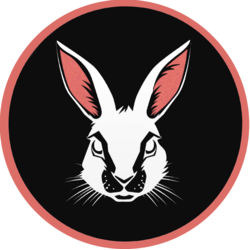 CashBunny