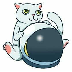 Mooncat CAT