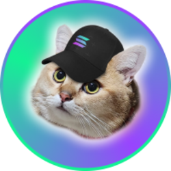 CatSolHat