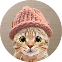 CatWifHat
