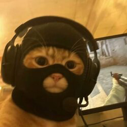 Catwifmask