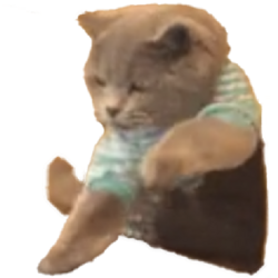 Clicking Cat