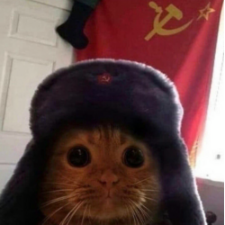Communist Cat
