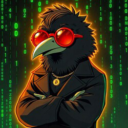Cr0w by Virtuals
