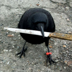 Crow with knife
