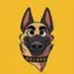 CZ'S Dog