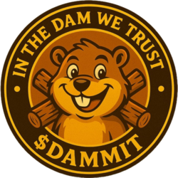 DAM IT