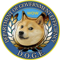 Department Of Government Efficiency