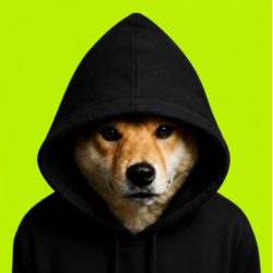 Dog In Hood