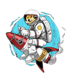Doge-1 Mission to the moon