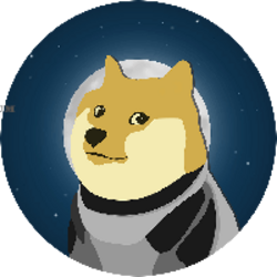 DOGE-1