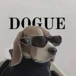 DOGUE