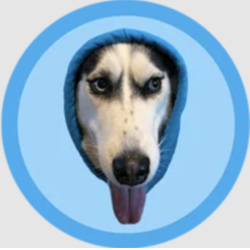 DOGWIFHOOD