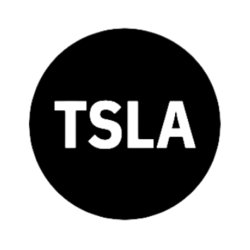 Tesla Tokenized Stock Defichain