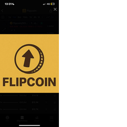 Flip Coin