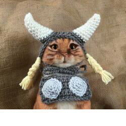 Floki Cat