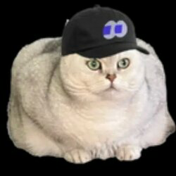 Fomocat