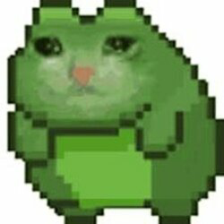 Frog cat
