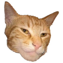 Giga Cat
