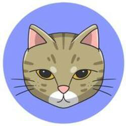 Ginnan Neko