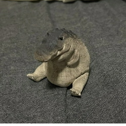 Gomu Gator