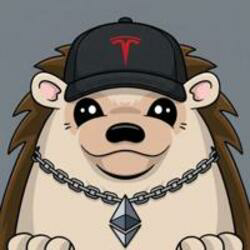 Haha Yes Hedgehog