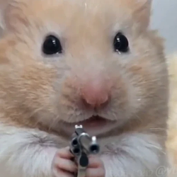 Hamster wif gun
