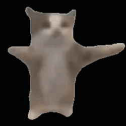 Happi cat
