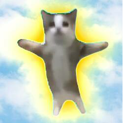 Happy Cat