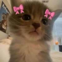 Iiii lovvvv youuuu