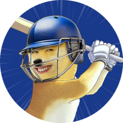 Indian Premier League Fan Token