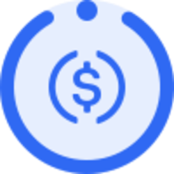 Instadapp USDC