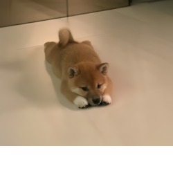 INU