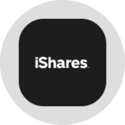 IShares Bitcoin Trust (Ondo Tokenized)