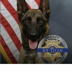 K-9 Killed in Shootout