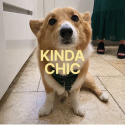 Kinda Chic
