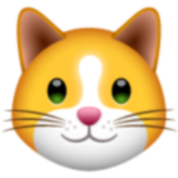 KittenFinance
