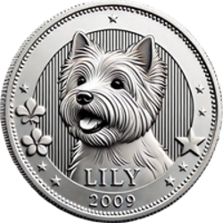 Lily's Coin
