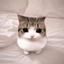 Meowpin