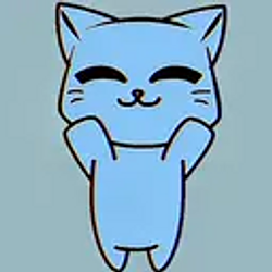 Momo the cat