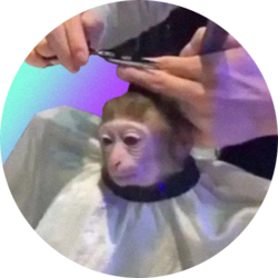 Monkeyhaircut