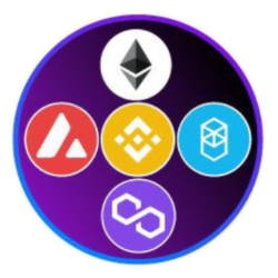 Multiverse Capital
