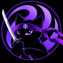 Ninjacat