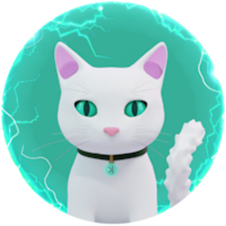 Nocha the Kat
