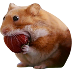 Nomnom